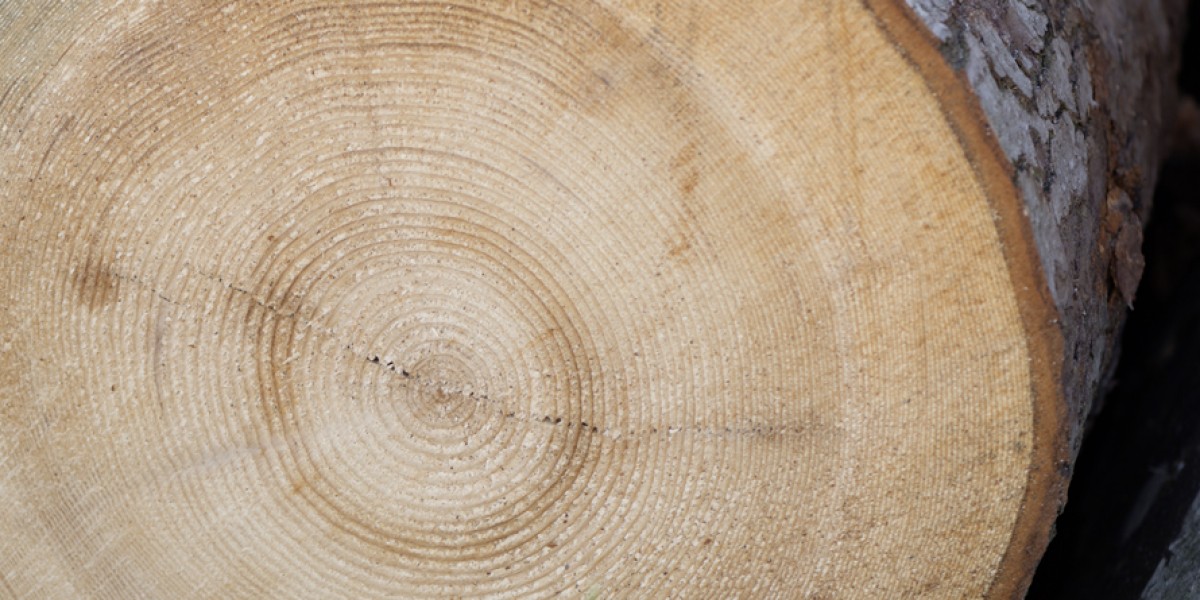 Heute verarbeiten wir ca. 15'000 Festmeter Nadelrundholz aus den heimischen Wäldern zu Holzprodukten für unsere Kunden in der ganzen Schweiz.